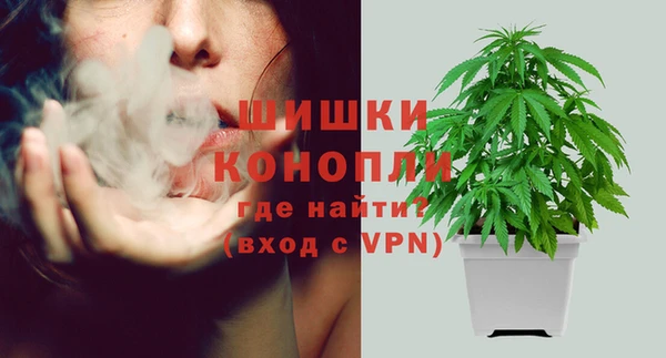 кокаин перу Богданович