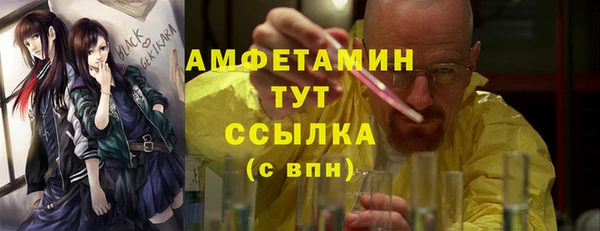 дмт Богородицк