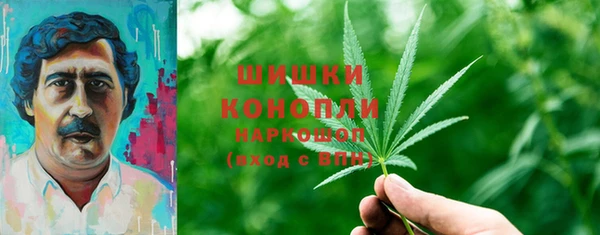 дмт Богородицк