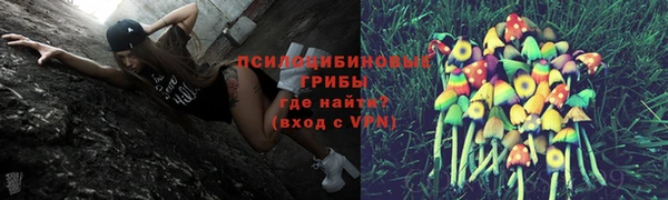 кокаин перу Богданович