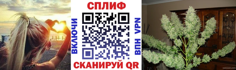 Бошки Шишки тримм Кемь